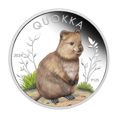 srebrna-moneta-australijska-quokka-2024-1-uncja-proof-rewers (2)